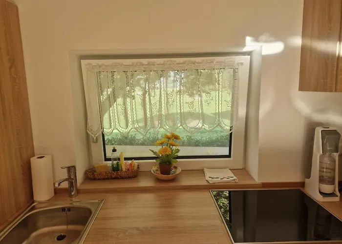 Oase Der Ruhe Appartement Hollersbach im Pinzgau