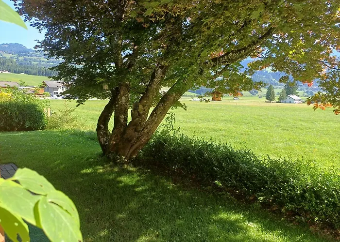 Oase Der Ruhe Appartement